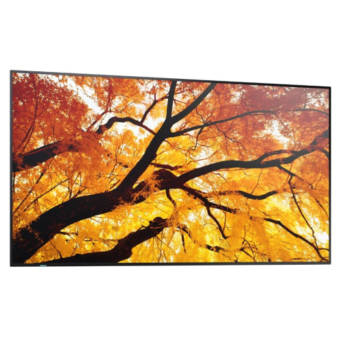 Monitor wielkoformatowy MultiSync M502 50 cali 550cd/m2 24/7-24085579