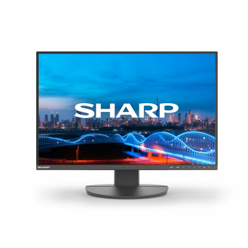Monitor biznesowy MultiSync DD-EA241W 24 cale Czarny