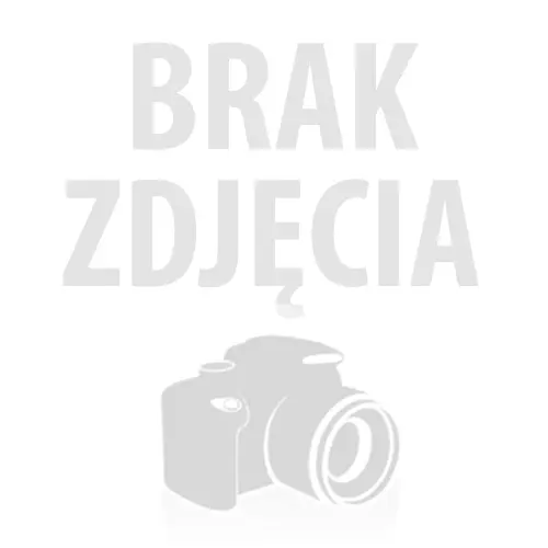 Ładowarka Mini GaN 100W Smart TFT 2xUSB-C 1xUSB-A UE/UK/USA-24147432