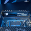 Patriot Premium Black DDR5 16GB 5600MHz Radiator-24447207