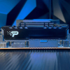 Patriot Premium Black DDR5 16GB 5600MHz Radiator-24447209