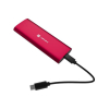 Obudowa SSD zewnętrzna RHINO M.2 NVME USB-C 3.2 ruby red-24528836