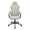 COUGAR CGR-FXF-ASW Uniwersalny fotel dla gracza Obite siedzisko Popiół-24546498