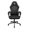 COUGAR CGR-FXF-GLB Uniwersalny fotel dla gracza Obite siedzisko Czarny, Złoto-24546508