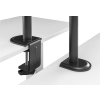 Equip 650156 uchwyt / stojak do monitorów 81,3 cm (32
