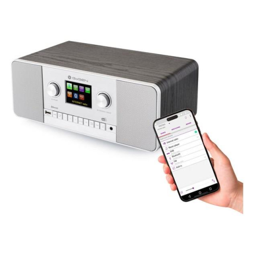 GoGen IR 257 BTDAB Internet Cyfrowy Srebrny-25169105
