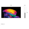 TV OLED55C61LA LG-25247401