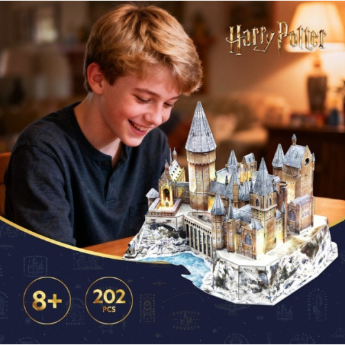 Puzzle 3D - Harry Potter Zamek Hogwart w śniegu LED-25496298