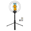LogiLink AA0156 pierścień świetlny 95 LED