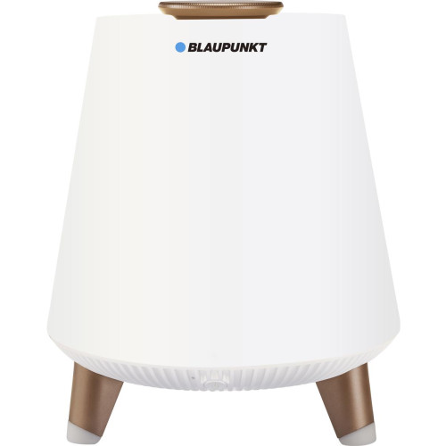 Głośnik Blaupunkt BT25LAMP-2842456