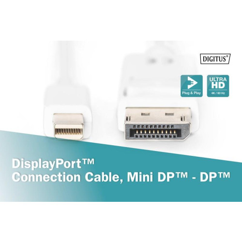 Kabel połączeniowy Displayport 4K 60Hz UHD Typ miniDP/DP M/M biały 2m-4416212