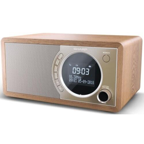 Radio DAB+ BT DR-450(BR)-4420737