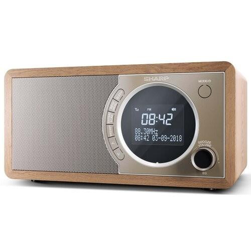 Radio DAB+ BT DR-450(BR)-4420738