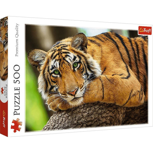 Puzzle 500 elementów Portret tygrysa-4437265