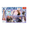 Puzzle Świat pełen magii Frozen 2 24 Maxi elementów-4441142