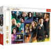 Puzzle 1000 elementów Świat Czarodziejów Harry Potter-4467324