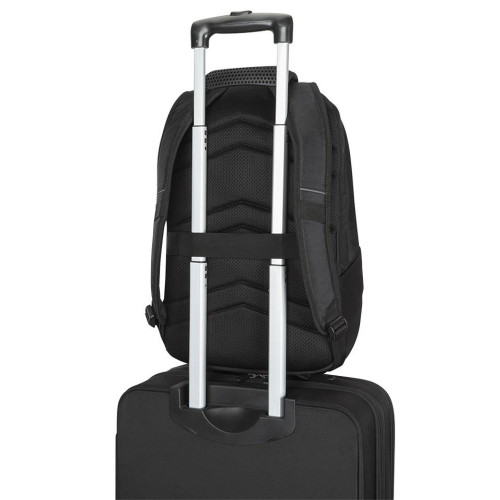 Plecak ThinkPad Essential Plus 15.6 Backpack (Eco) 4X41A30364-4478172