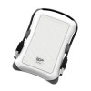 Zewnętrzny dysk HDD ARMOR A30 1TB USB 3.2 biały pancerny wstrząsoodporny-4487945
