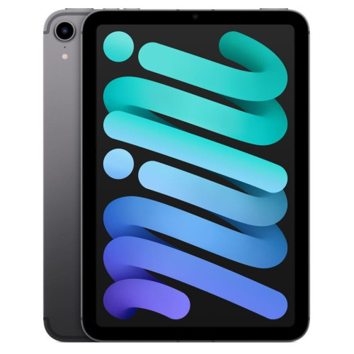 iPad mini Wi-Fi + Cellular 64GB - Gwiezdna szarość-4494567