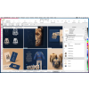 CorelDRAW Graphics Suite 2021-5015353