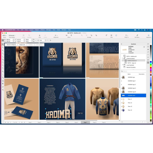 CorelDRAW Graphics Suite 2021-5015354