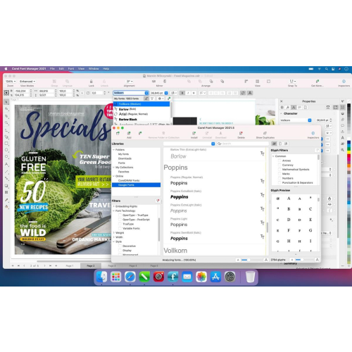 CorelDRAW Graphics Suite 2021-5015355