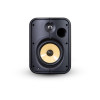 BLUESOUND PROFESSIONAL GŁOŚNIK BSP1000B - AKTYWNY GŁOŚNIK SIECIOWY (POE)-6077975