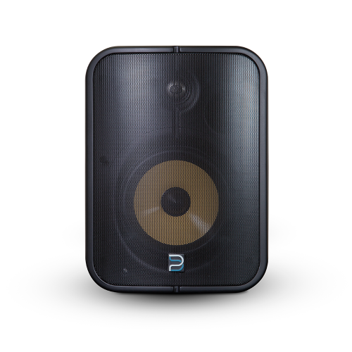 BLUESOUND PROFESSIONAL GŁOŚNIK BSP1000B - AKTYWNY GŁOŚNIK SIECIOWY (POE)-6077974