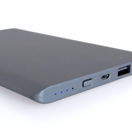 PowerNeed Powerbank (10000mAh) 2x USB grafitowy-6094841