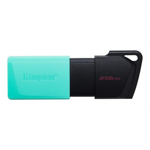 KINGSTON Exodia 256GB USB3.2 teal-6096839