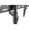 MANHATTAN STOJAK PODŁOGOWY TV TRIPOD LCD/LED 37-70-6990411
