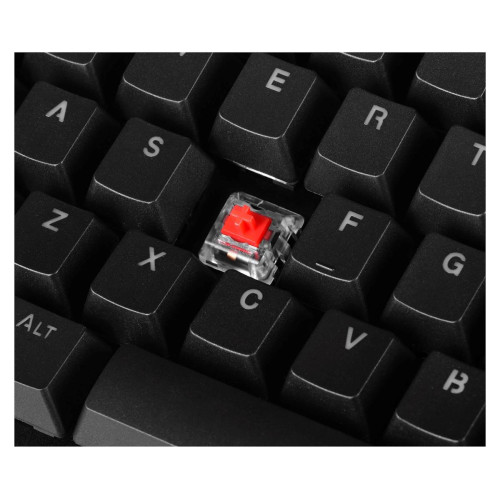 Klawiatura gamingowa ENDORFY Thock TKL Kailh Red RGB-7358469