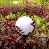 Solarna lampa ogrodowa Kula 25x58 GB166 W-742996