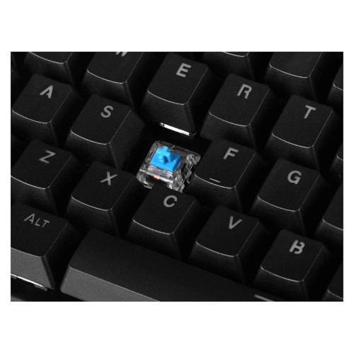 Klawiatura gamingowa ENDORFY Thock TKL Kailh Blue RGB-7545562