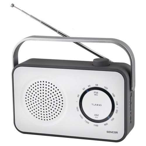Radio AM/FM SRD 2100W -774800