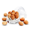 Jajowar Esperanza EGG MASTER EKE001-777927