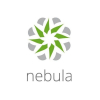 Licencja Nebula Prof Pack Lic 1Y LIC-NPRO-ZZ1Y00F-7824909