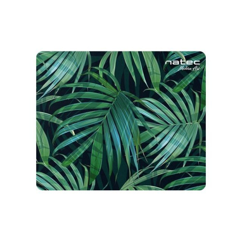 Podkładka pod mysz Foto Modern Art Palm Tree 220x180mm 10-Pack-7823476