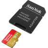 Karta pamięci Extreme microSDXC 256GB 190/130 MB/s A2 V30 U3 -7881398