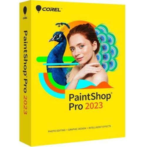 PaintShop Pro 2023 Mini box -7885380