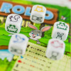 Gra Rollo ( PL)-7906271