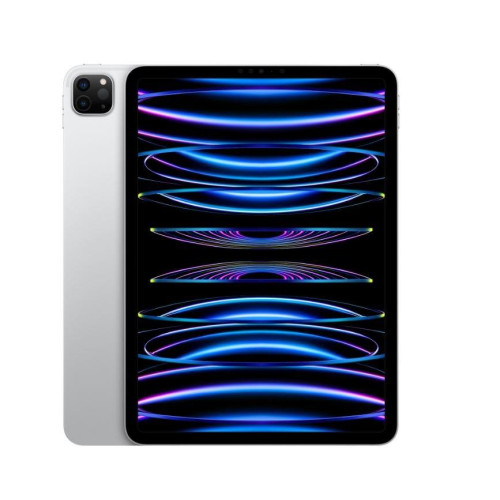 iPad Pro 11 cali Wi-Fi + Cellular 2 TB Srebrny-7900430