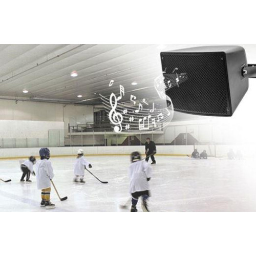 DSPPA GŁOŚNIK TUBOWY DSP3010H, 200W, DWUDROŻNY, ODPORNY NA WARUNKI ATMOSFERYCZNE,-8584785