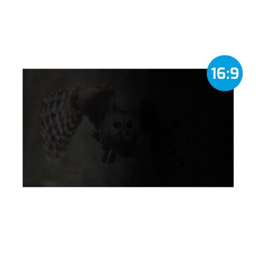 Filtr prywatyzujący RODO Owl 13.3