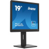 Monitor 19 cali B1980D-B5 DVI,VGA,PIVIOT,HAS/150mm,5:4 -9375846