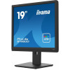 Monitor 19 cali B1980D-B5 DVI,VGA,PIVIOT,HAS/150mm,5:4 -9375848