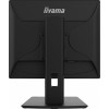 Monitor 19 cali B1980D-B5 DVI,VGA,PIVIOT,HAS/150mm,5:4 -9375852