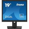 Monitor 19 cali B1980D-B5 DVI,VGA,PIVIOT,HAS/150mm,5:4 -9375855