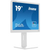 Monitor 19 cali B1980D-W5 DVI,VGA,PIVIOT,HAS/150mm,5:4 -9375869