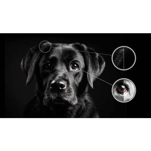 Telewizor QLED 55 cali 55C645-9371914